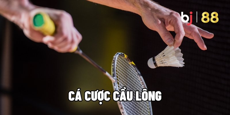 cá cược cầu lông